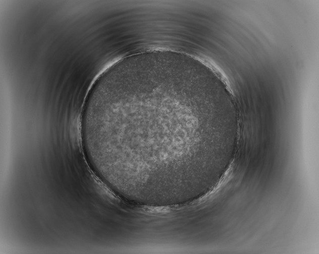 X0000086890798200705141621