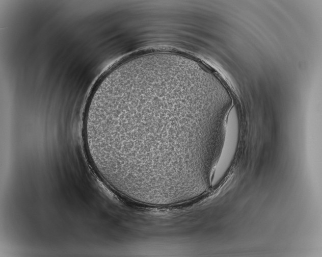 X0000086890799200705141621