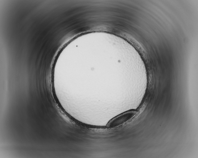 X0000086890800200705141621