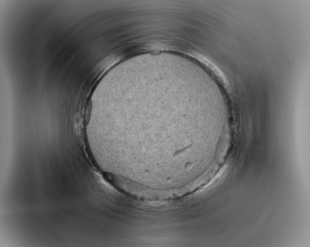 X0000086890801200705141621