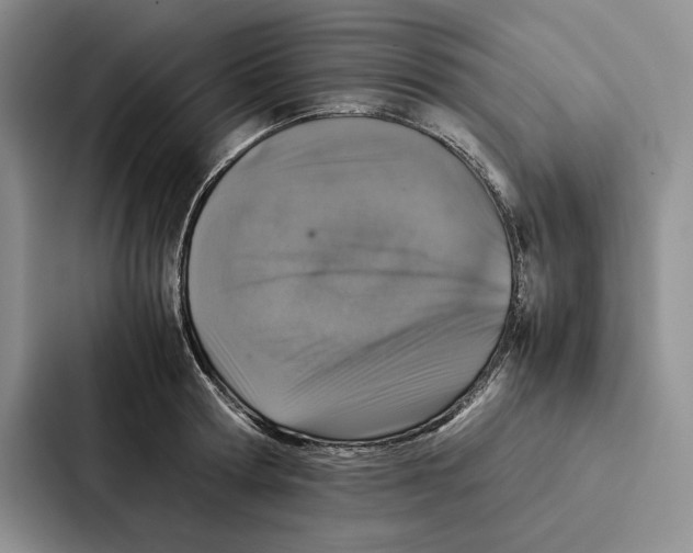 X0000086890802200705141621