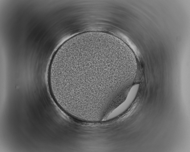 X0000086890803200705141621