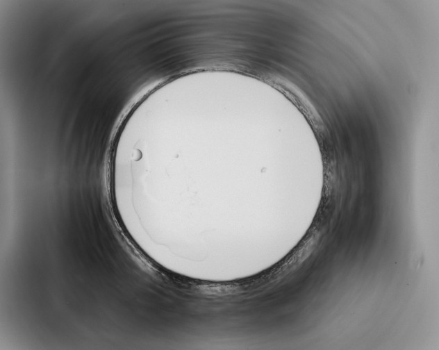 X0000086890804200705141621