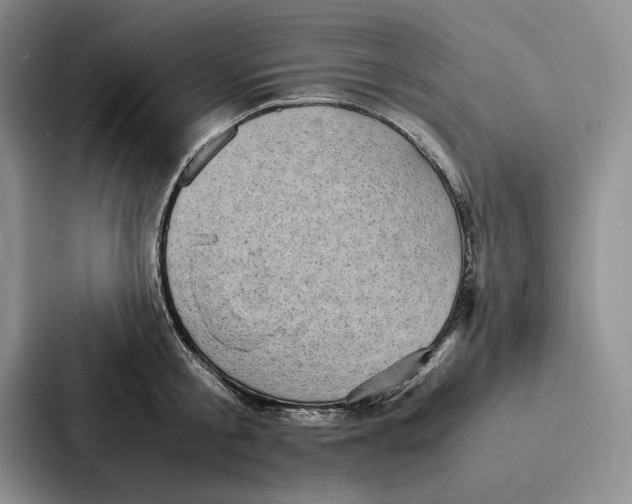 X0000086890805200705141621