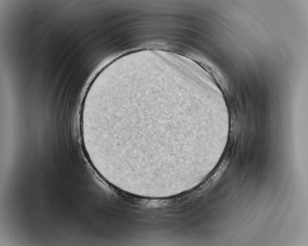 X0000086890808200705141621