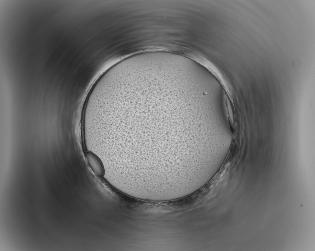 X0000086890811200705141621