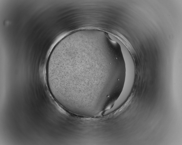 X0000086890812200705141621