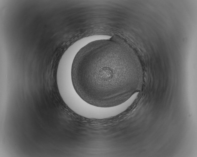 X0000086890818200705141621