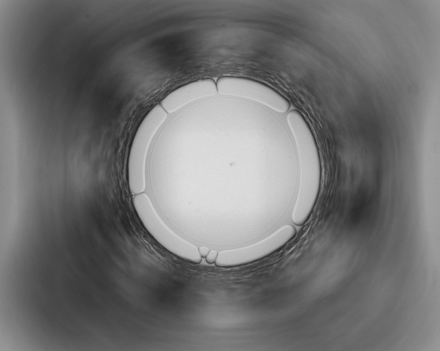 X0000086890820200705141621