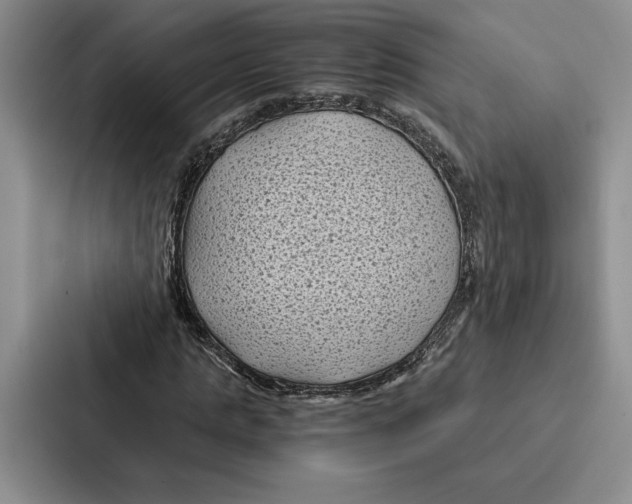 X0000086890821200705141621