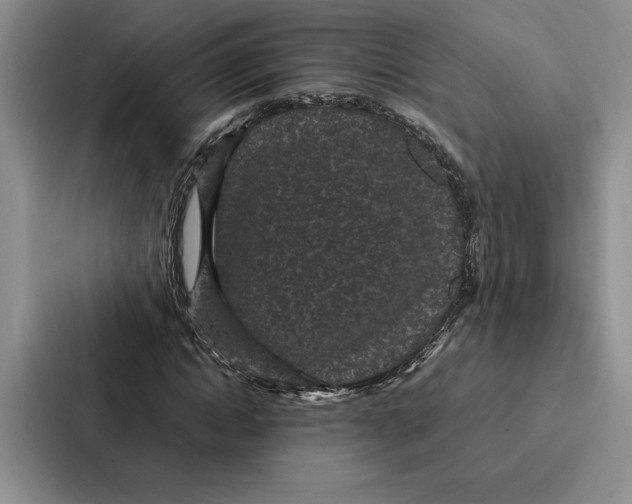 X0000086890822200705141621