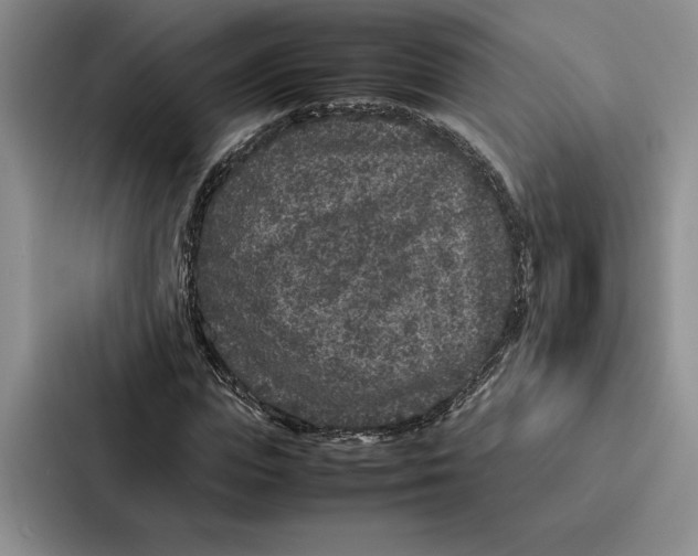 X0000086890823200705141621