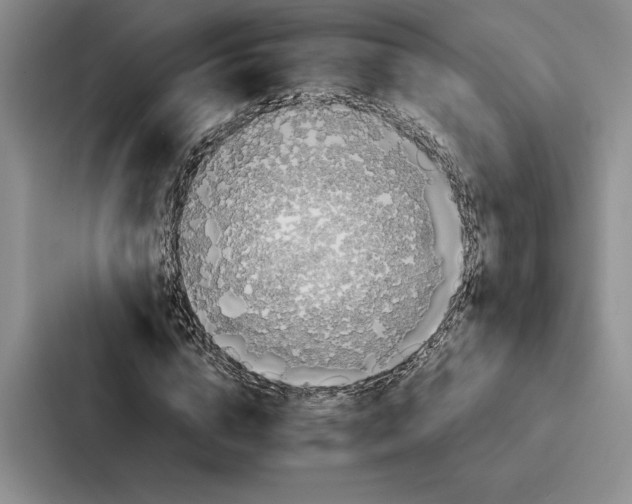 X0000086890824200705141621