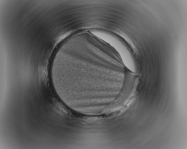 X0000086890826200705141621