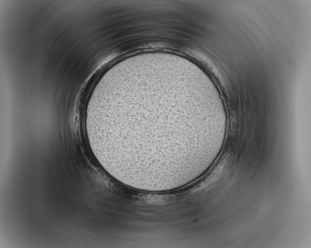 X0000086890827200705141621