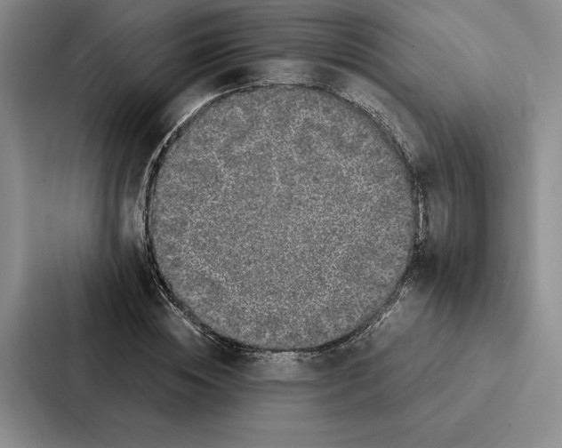 X0000086890828200705141621