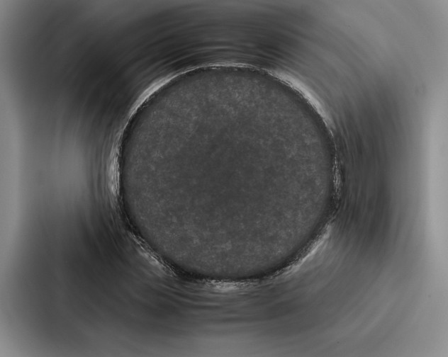 X0000086890829200705141621