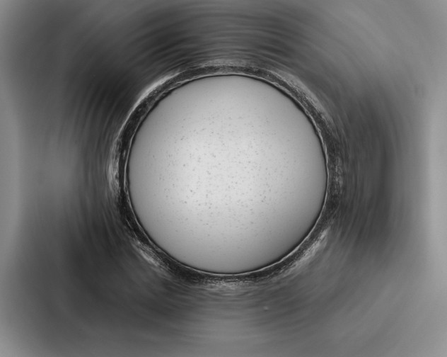 X0000086890830200705141621