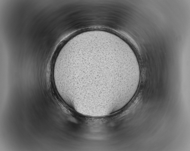 X0000086890831200705141621