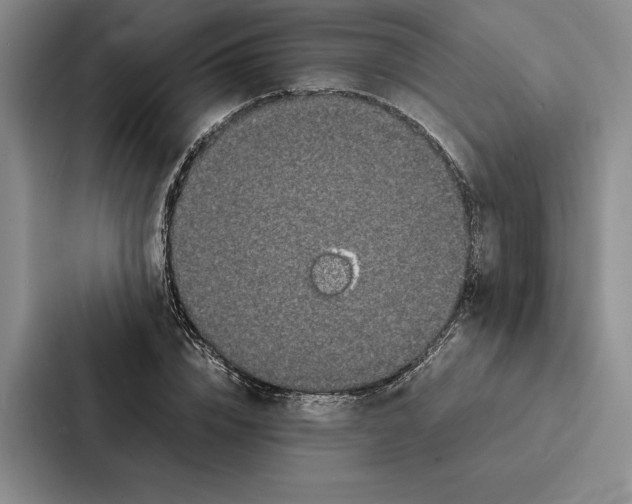 X0000086890832200705141621