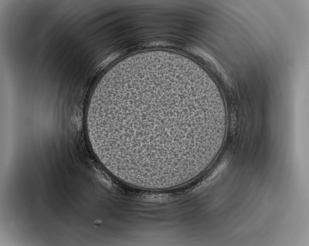 X0000086890833200705141621