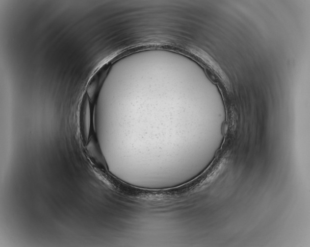 X0000086890834200705141621