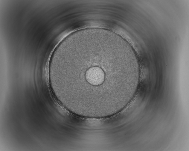 X0000086890836200705141621