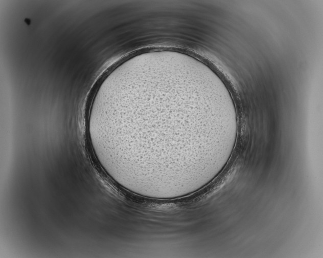 X0000086890837200705141621