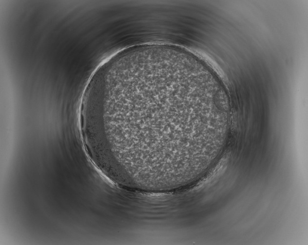 X0000086890839200705141621