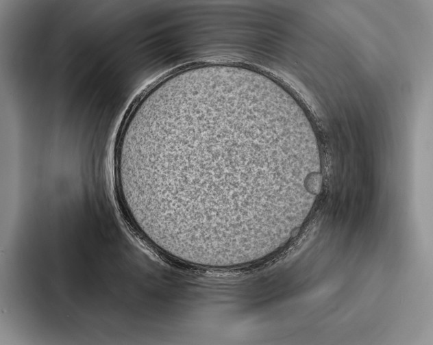 X0000086890840200705141621