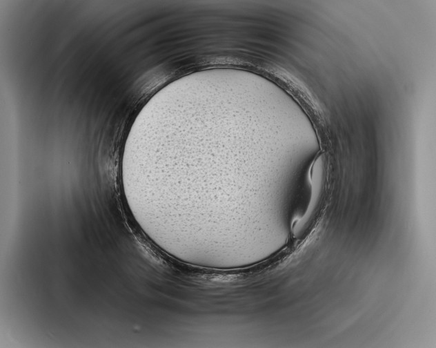 X0000086890841200705141621