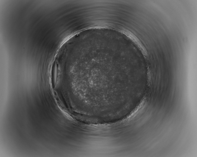 X0000086890842200705141621