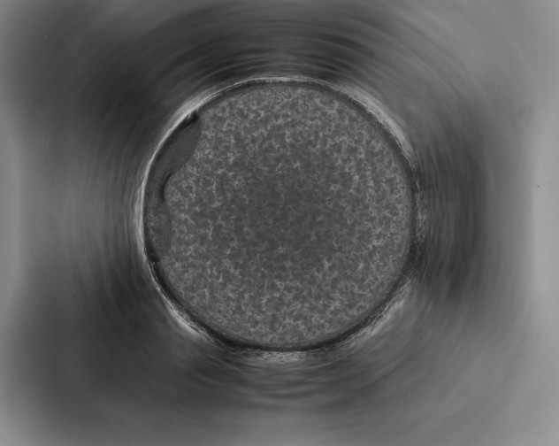 X0000086890845200705141621