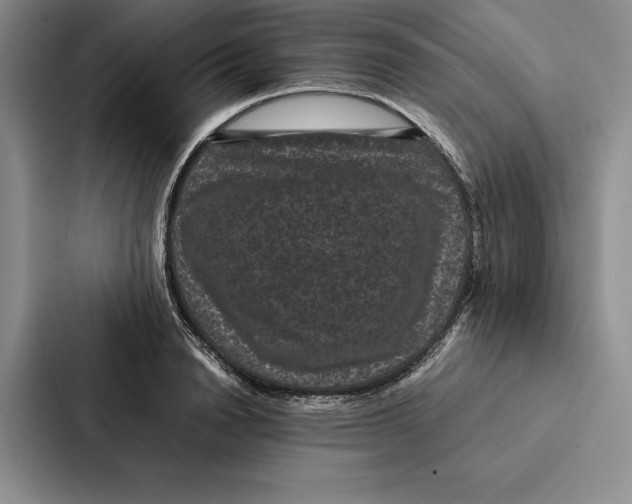 X0000086890846200705141621