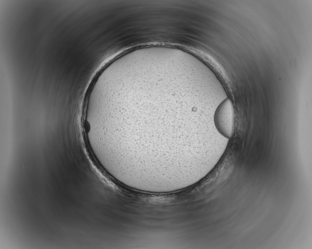 X0000086890847200705141621