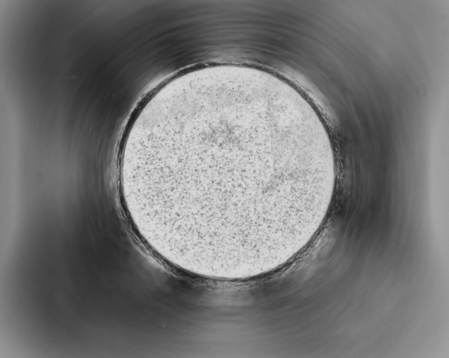 X0000086890848200705141621