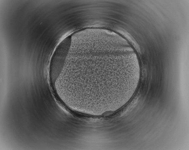 X0000086890850200705141621