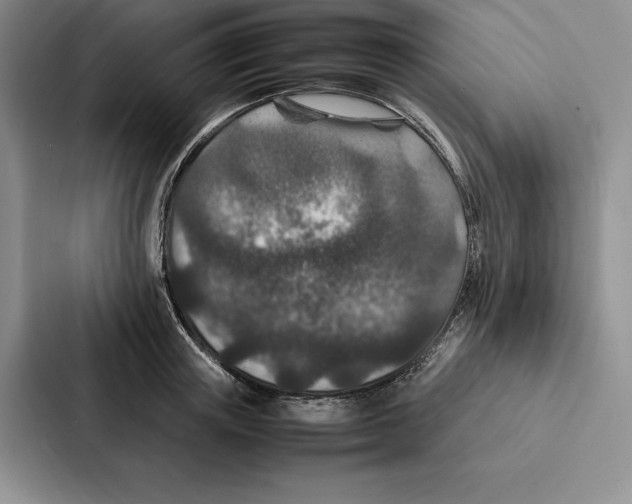 X0000086890851200705141621