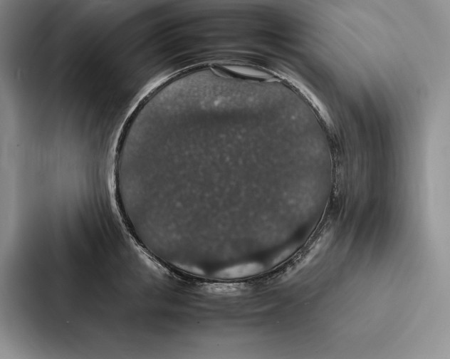 X0000086890853200705141621