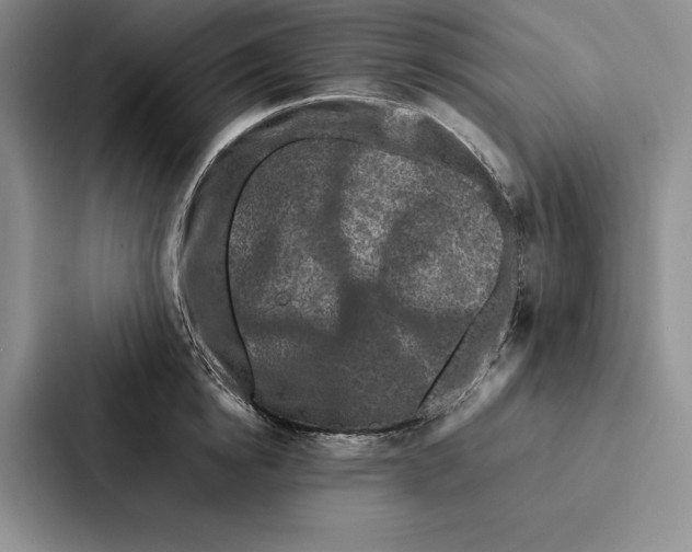 X0000086890854200705141621