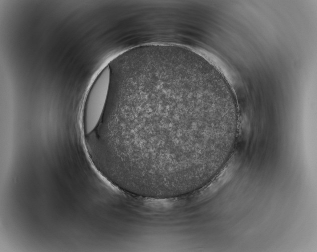 X0000086890855200705141621