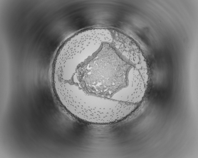 X0000086890856200705141621