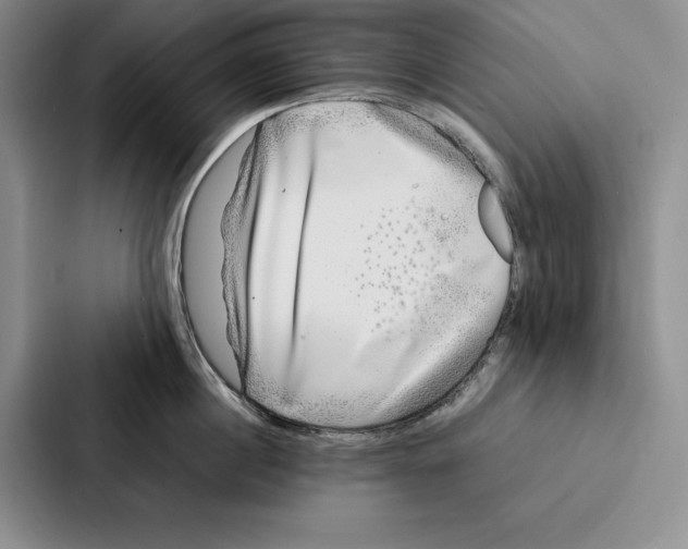 X0000086890860200705141621