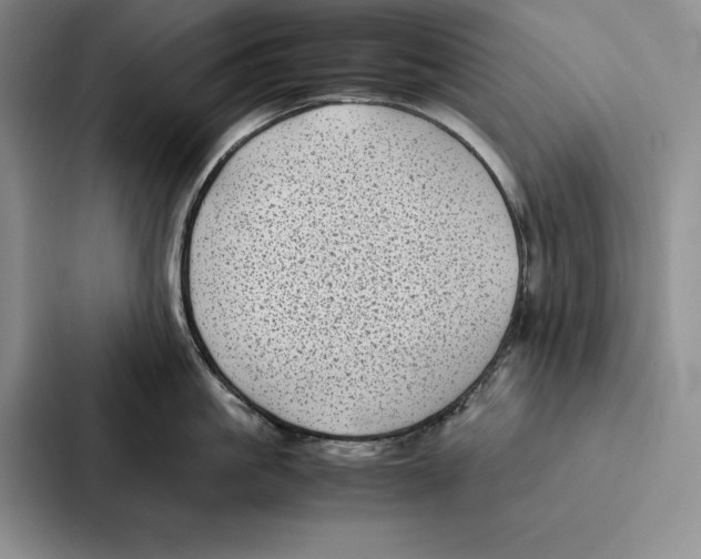 X0000086890861200705141621