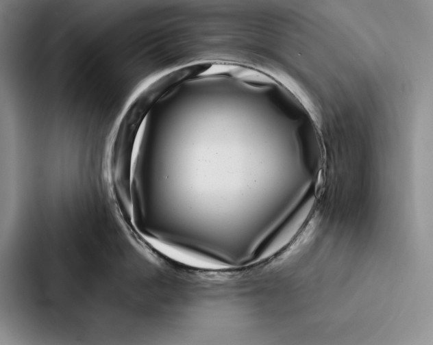 X0000086890862200705141621