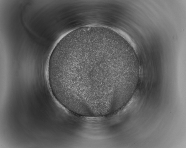 X0000086890863200705141621