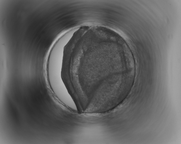 X0000086890864200705141621