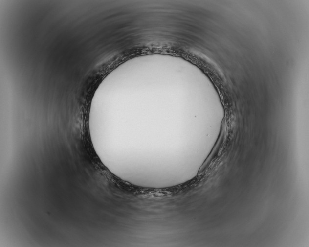 X0000086890869200705141620