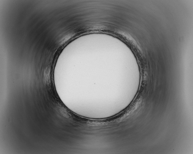 X0000086890873200705141620