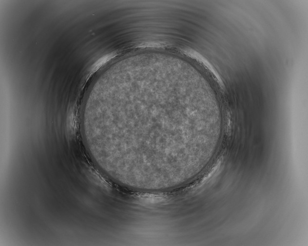 X0000086890874200705141620